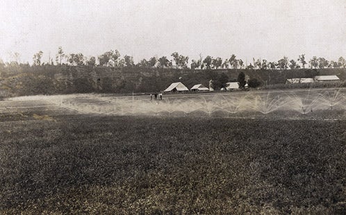 Irrigation spray on the River Farm - farm buildings in background and three men watching [Hawkesbury Agricultural College (HAC)] (P174)