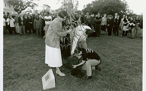 First Sorry Day tree planting May 1998 (AI-20068)