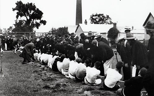 Tug O’ War [Hawkesbury Agricultural College (HAC)] 1914 (AI-25152)