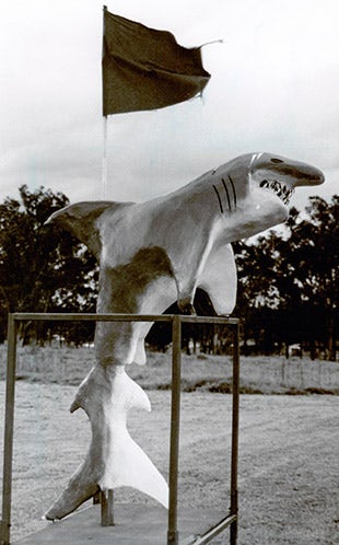 Visual & Performing Arts (VAPA) - 3D Illustration – Shark 1992 (P2302)