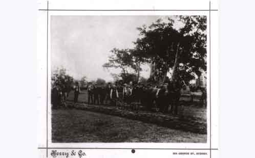 P160 Mr Sydney Smith turning first furrow in Hawkesbury Agricultural College (HAC) 1891