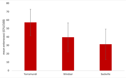 Graph showing mean enterococci levels at the three sampling sites in the Hawkesbury Nepean River.