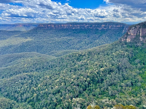 Echo point