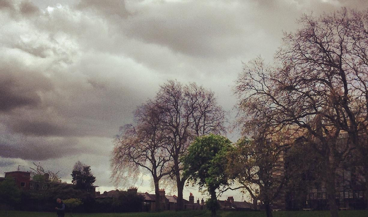 Grey day at Goldsmiths University, with trees and greenery