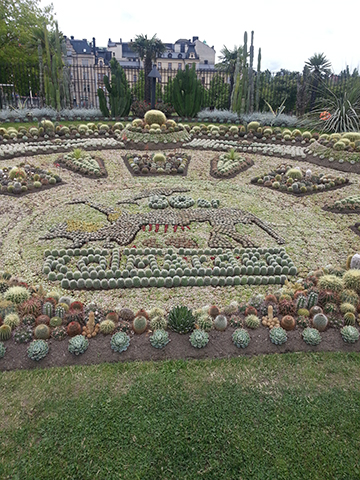 A garden in a half-circle shape planted entirely with cactuses to form patterns and shapes.