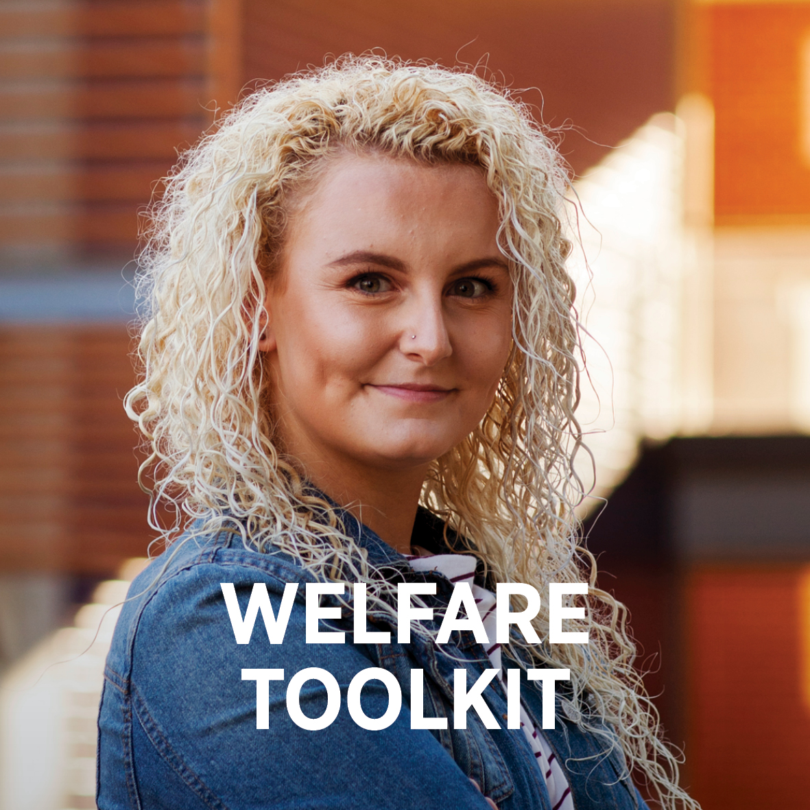 Welfare Toolkit