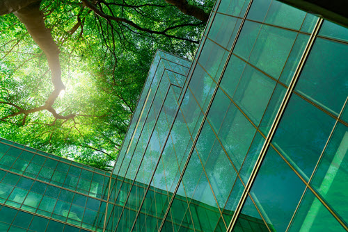 Environmental Sustainability Action Plan