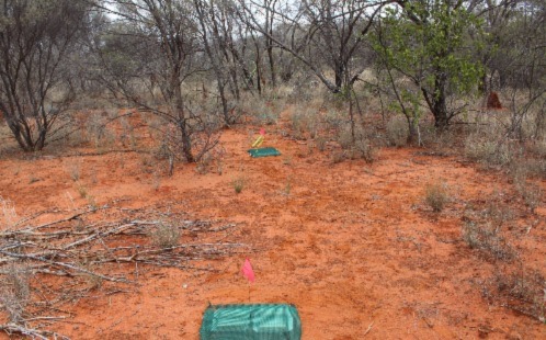 Experiment site in Alice Springs