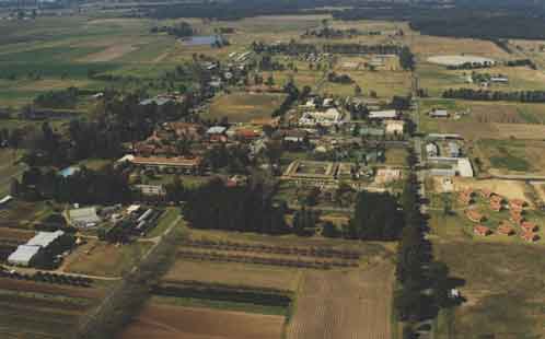 P19 Aerial photograph - Main campus looking South-West Hawkesbury Agricultural College of Advanced Education (HACAE) 1986