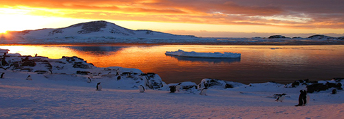 Photo of the sun setting in Antarctica with an orange light over the ice and water, and penguins on the ice.