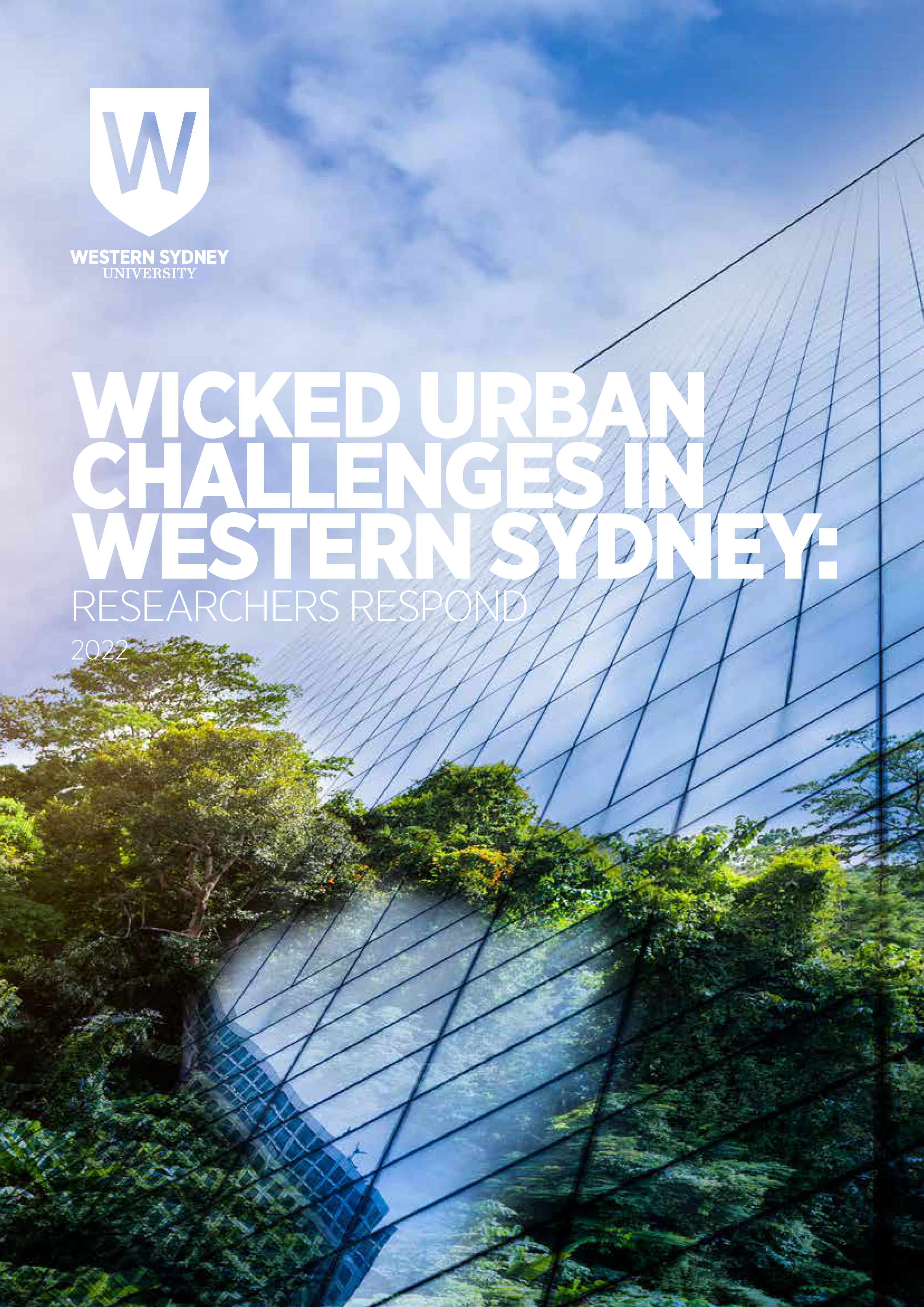 Wicked Urban Challenges Report thumbnail
