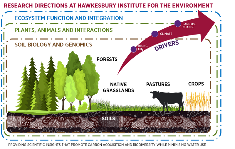 Research Directions at HIE