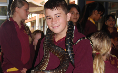 Penrith student holds a snake
