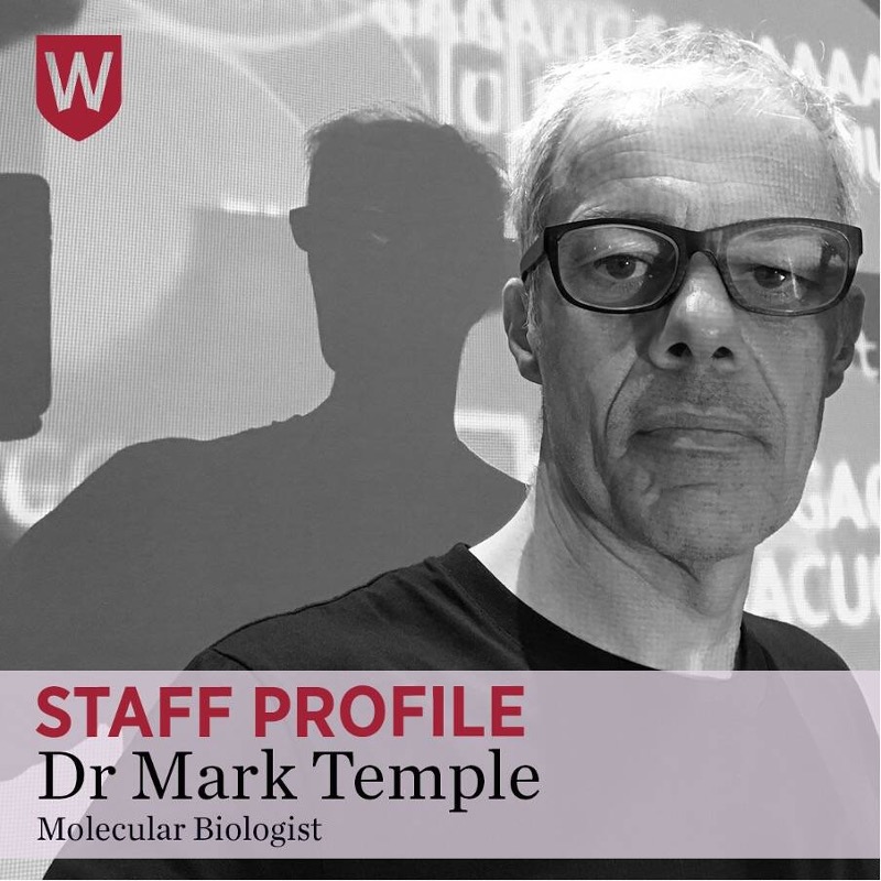 Mark Temple