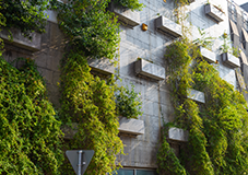 City building with vertical gardens_RHCPhotoButton