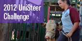 UniSchools Steer Challenge
