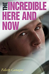 The Incredible Here and Now Book Cover