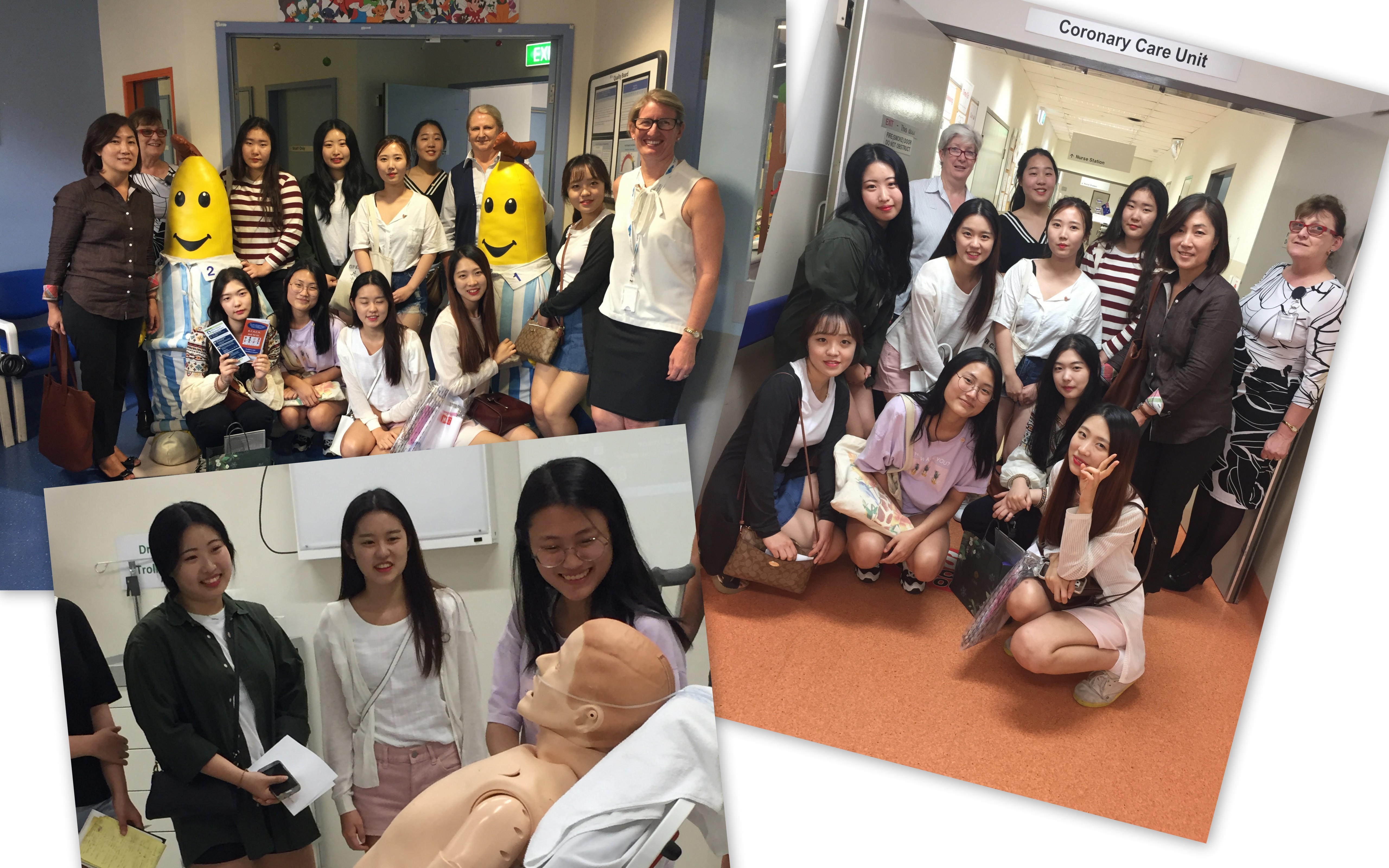 Korean Student Nurse visit