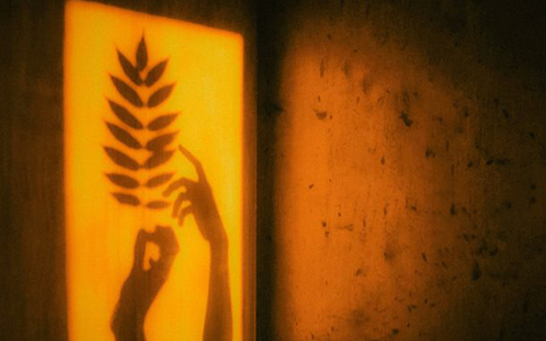 The shape of two hands reaching for and touching a fern-like leaf, surrounded by yellow light.
