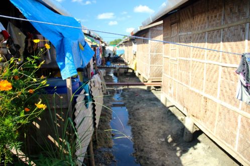 Thatched huts