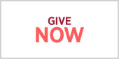 give-now Reverse button