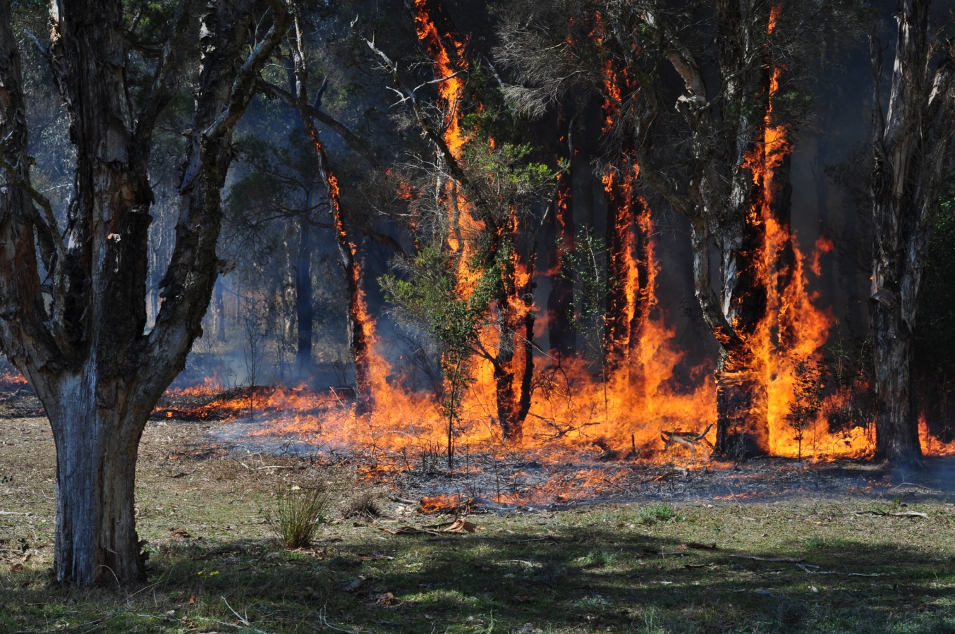 Bushfire Unit burn day