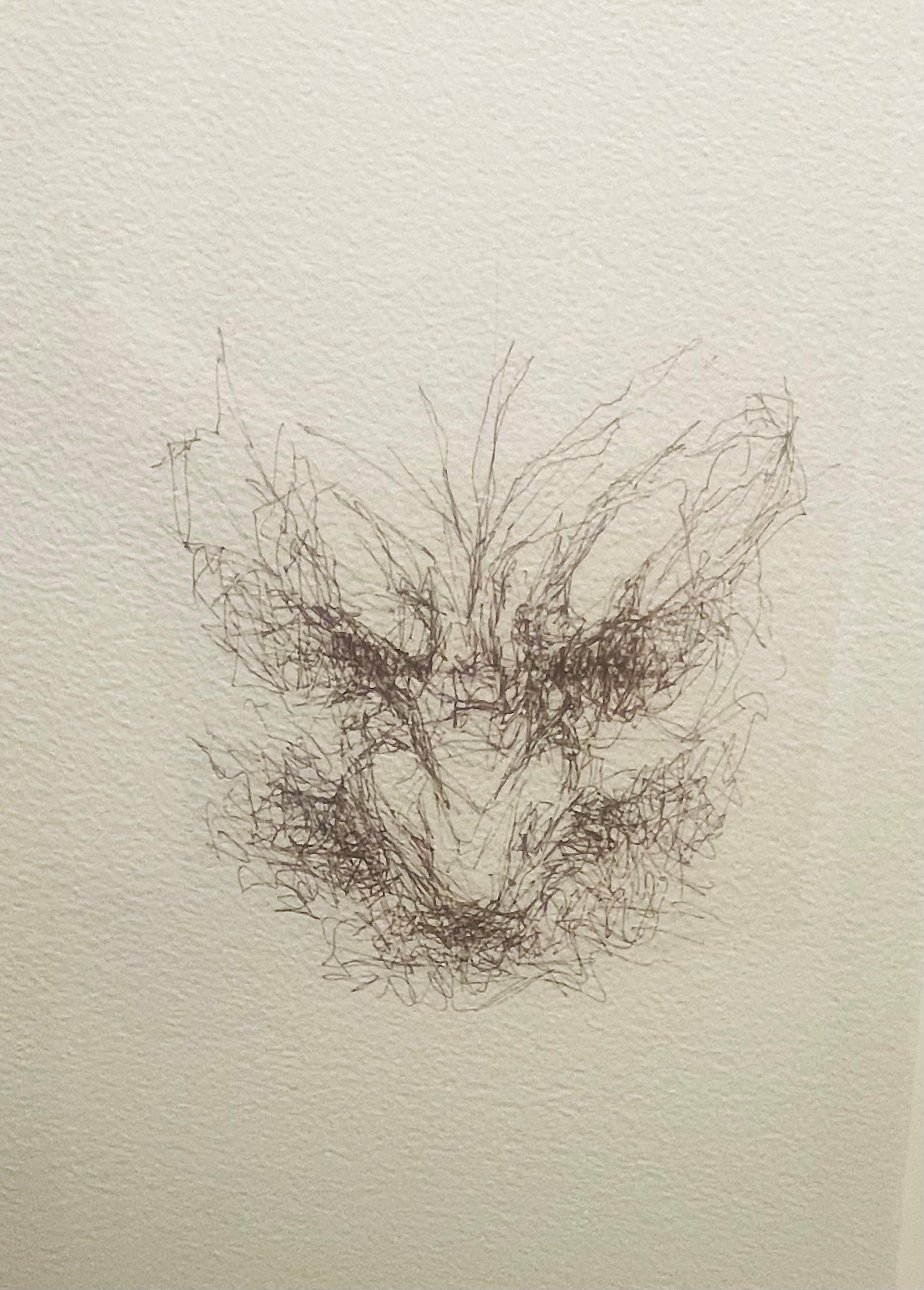 Untitled by Vernon Ah Kee