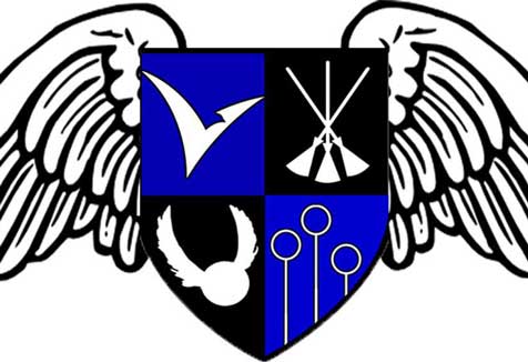 Quidditch Logo