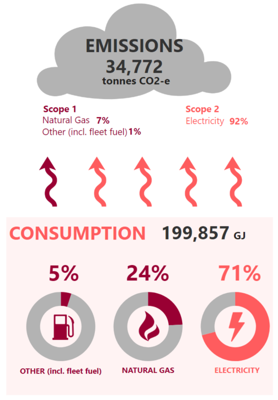 Consumption and Emissions in NGER Year 2020-21