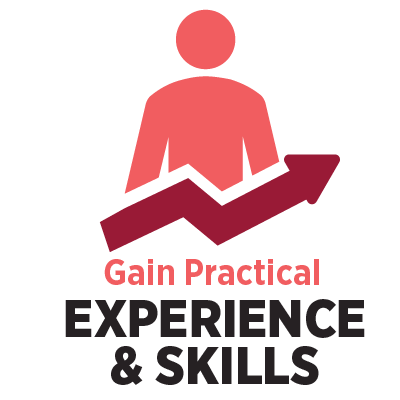 experience and skills