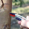 Measurement of fluctuating tree sap levels