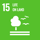 SDG 15 Life on the land