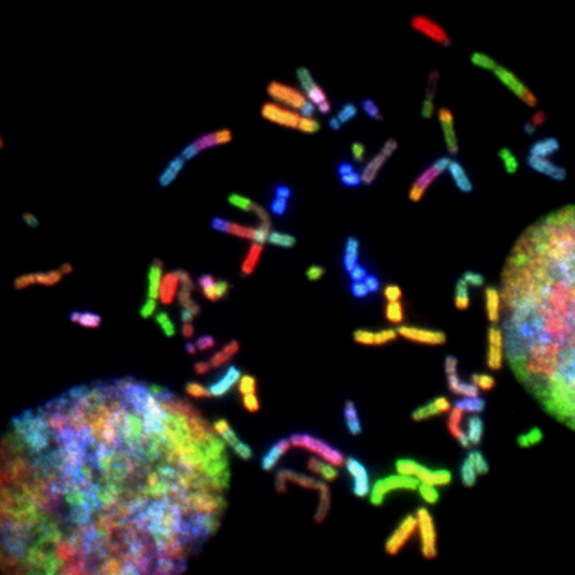 Thumbnail image Reassessing Risk in Decision-Making on Engineering Biology Thumbnail image Reassessing Risk in Decision-Making on Engineering Biology