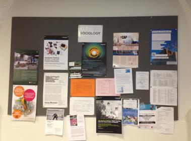 A notice board titled Sociology, with multiple papers pinned to it