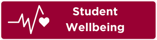 Student Wellbeing