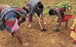 Single Women Revive Sustainable Farming