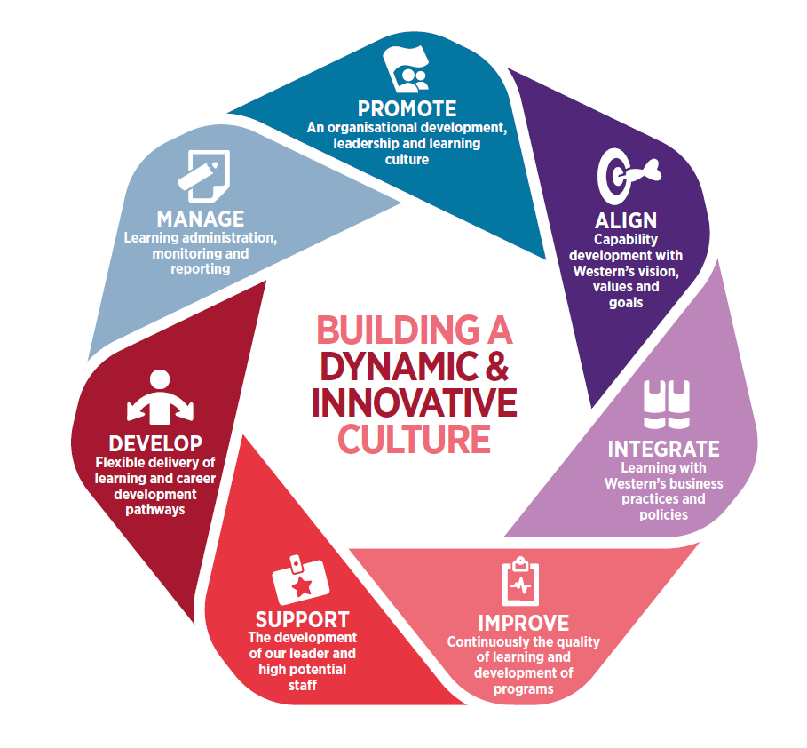 Organisational Development Strategy Diagram