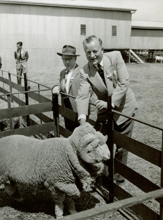 Two men standing by a sheep pen with a ram [Hawkesbury Agricultural College (HAC)]