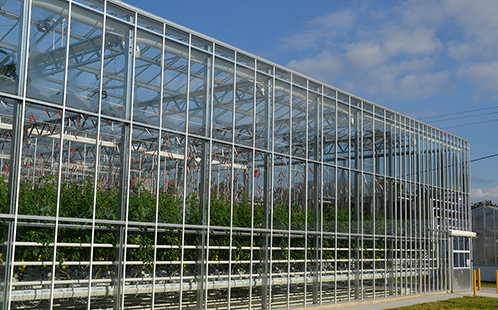 Greenhouse from outside