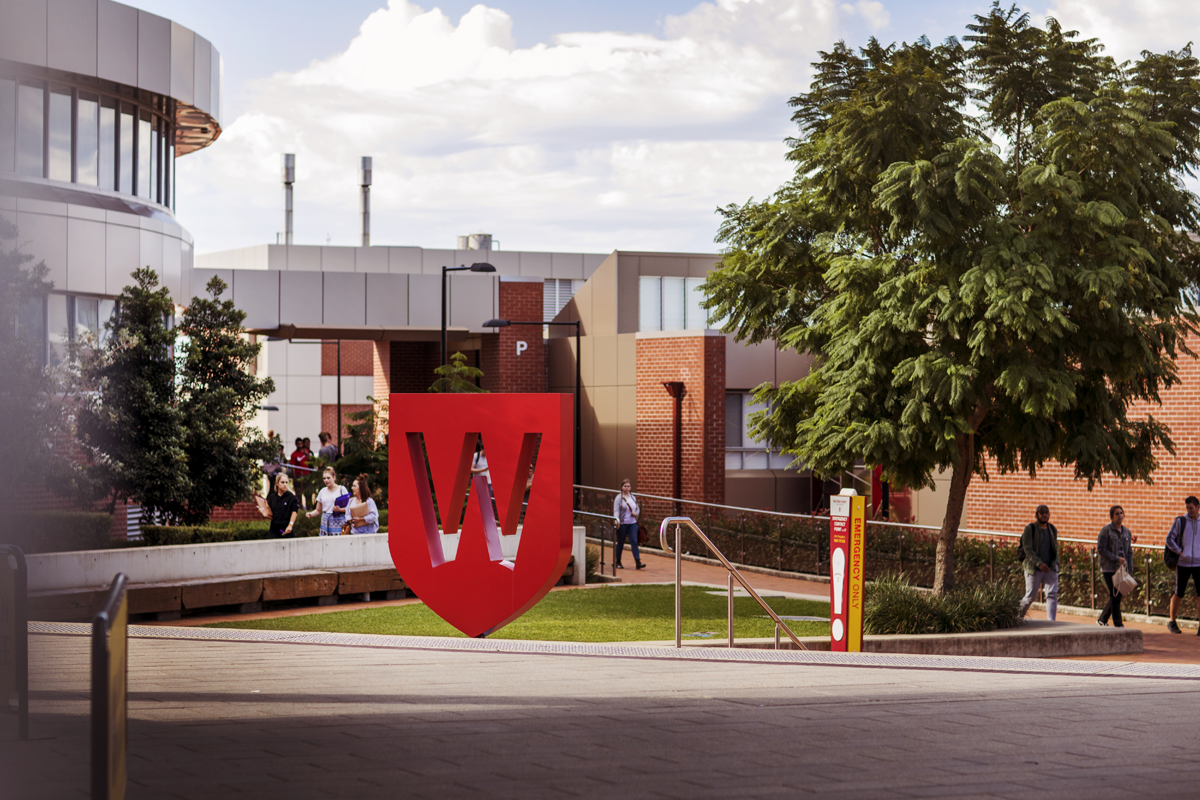 Music and Performing Arts - Networking Lunch