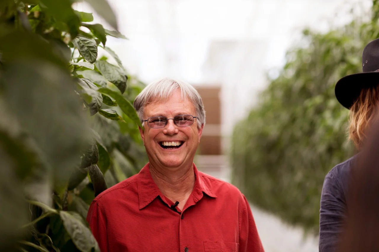 Distinguished Professor David Tissue