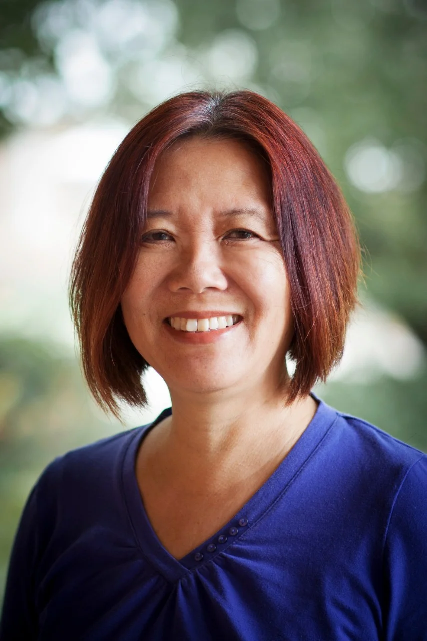 Distinguished Professor Ien Ang