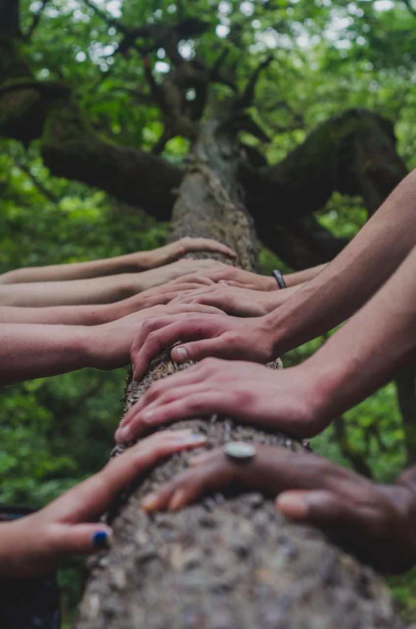 Sustainable Development Goal 3,Sustainable Development Goal 3