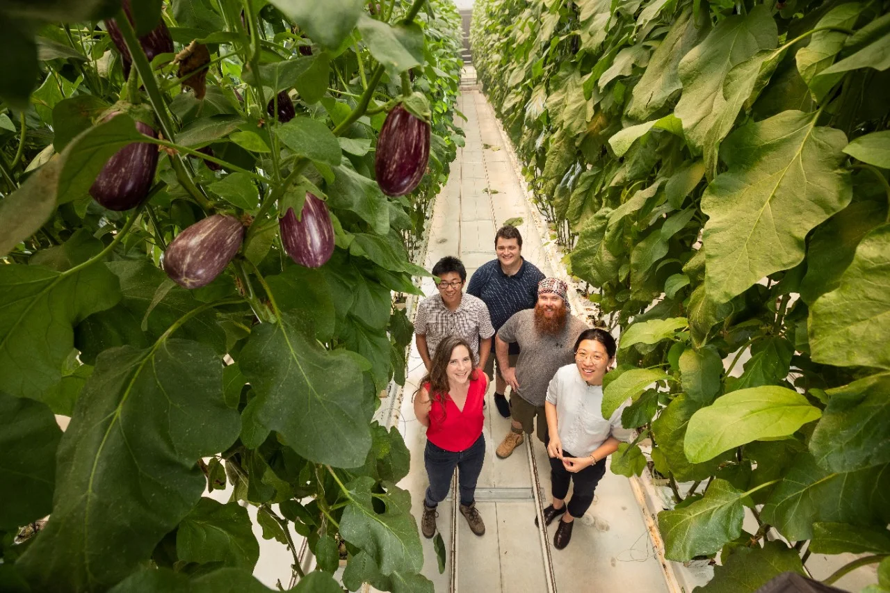 Chelsea Maier, Chenchen Zhou, Yagiz Alagoz, Norbert Klause and Xin He.
