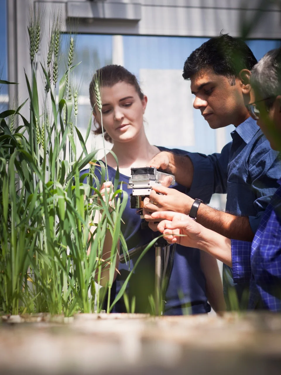 Education facilities at Hawkesbury campus