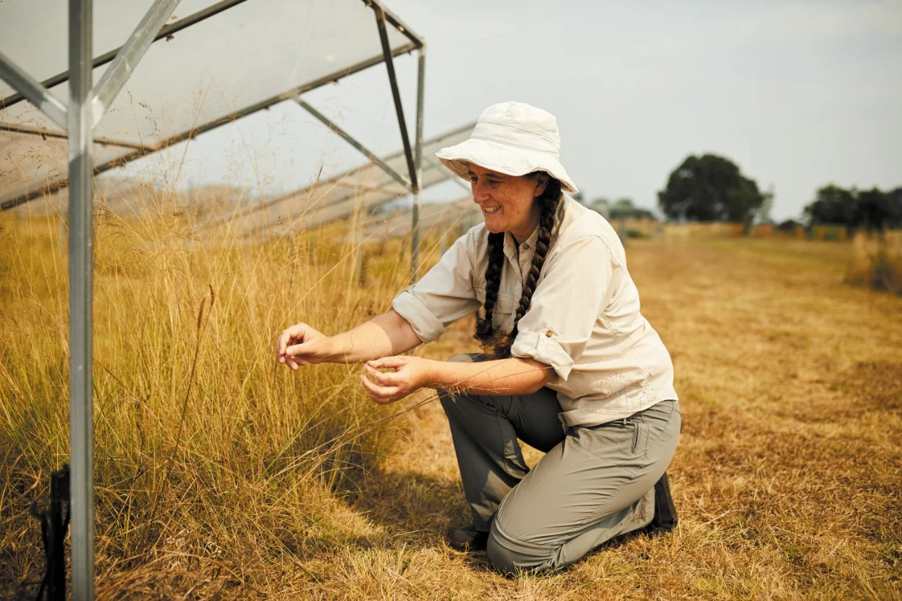 Belinda Medlyn at Western’s Hawkesbury Institute for the Environment.