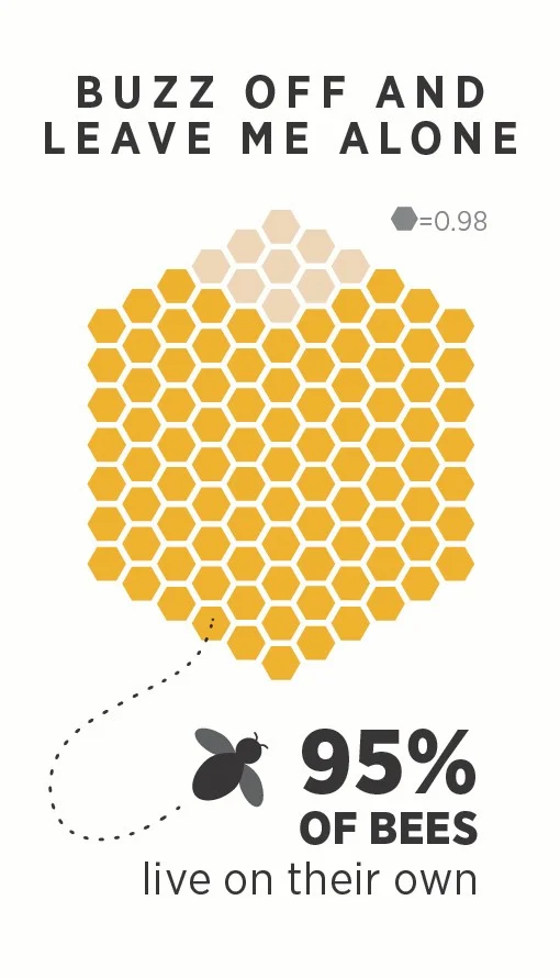 Bees mostly live on their own