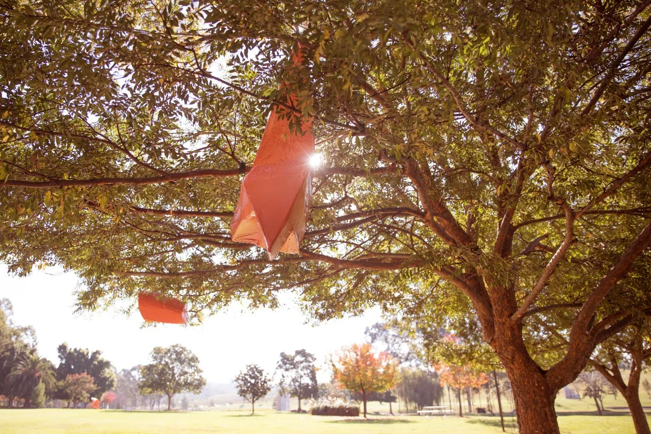 Akira Kamada The Odd Bunch