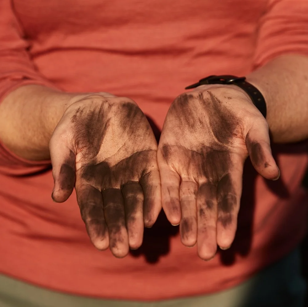 Rachael Nolan taking measurements of charred trees at Bilpin, NSW.