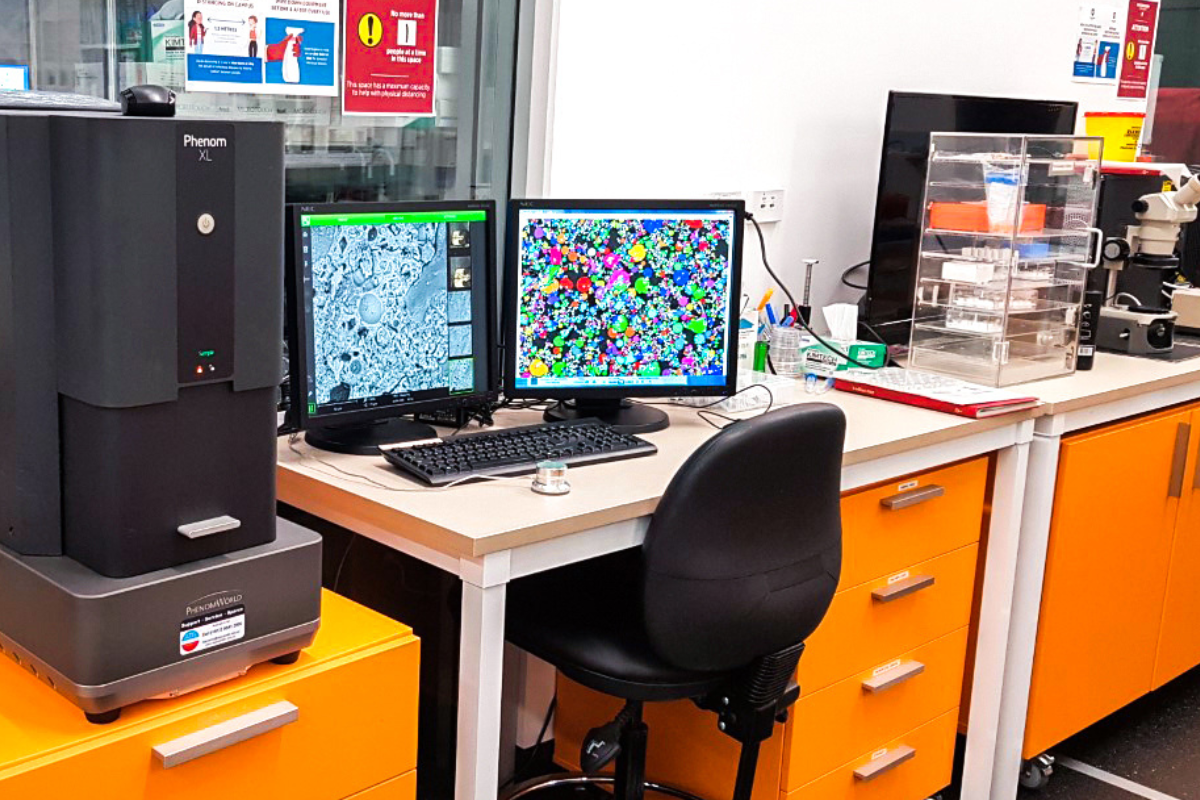 Phenom XL Desktop SEM